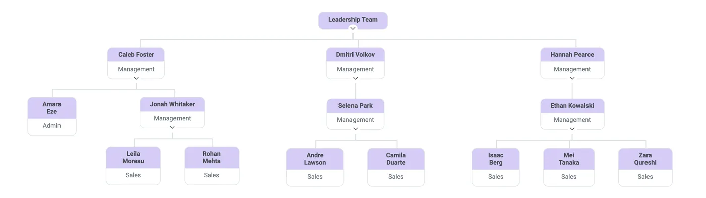 Org Chart: Leadership Team box at the top, leaders below it and their teams beneath, built from Assigned Leader